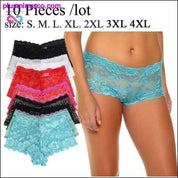 10 pcs/pack Sexy, Transparent, Lace Panties at - plusminusco.com