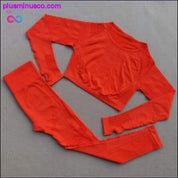 2 шт./комплект безшовного жіночого спортивного костюма, довгого одягу для тренувань у тренажерному залі - plusminusco.com
