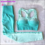 2PCS Ombre Seamless Yoga sety telocvične oblečenie pre ženy - plusminusco.com