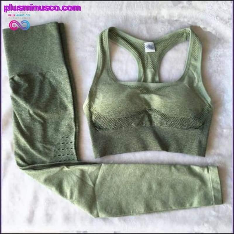 2PCS Ombre Seamless Yoga set gym sets women gym clothes - plusminusco.com