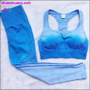 2PCS Ombre Seamless Yoga sety telocvične oblečenie pre ženy - plusminusco.com