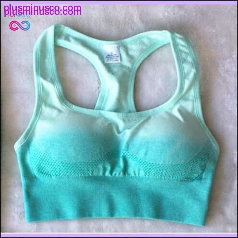 2PCS Ombre Seamless Yoga set gym sets women gym clothes - plusminusco.com