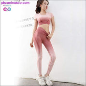 2pcs/set Gradient Yoga Clothing Suit Women Sports Vest Bra - plusminusco.com