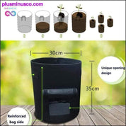 3 size Plant Grow Bags home garden Potato pot greenhouse - plusminusco.com