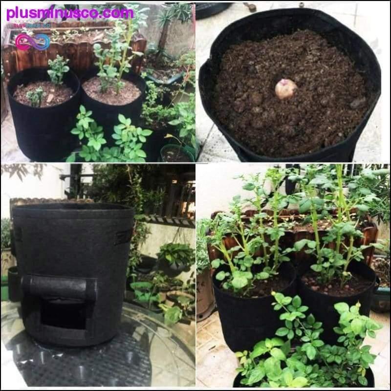 3 boyutlu Bitki Yetiştirme Torbaları ev bahçesi Patates saksısı serası - plusminusco.com