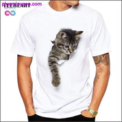 Camisetas fofas de gatos 3D - plusminusco.com
