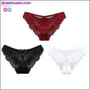 3pc/lot Sexy Panties Women Underwear Transparent Briefs Lace - plusminusco.com