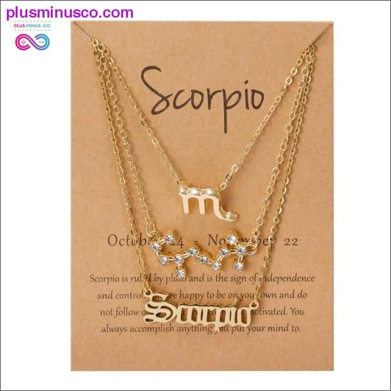 Set Cardboard Star Zodiac Sign Pendant 12 Constellation - plusminusco.com