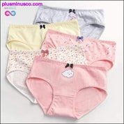 5 unids/lote nuevas bragas ropa interior de mujer calzoncillos de algodón sin costuras - plusminusco.com