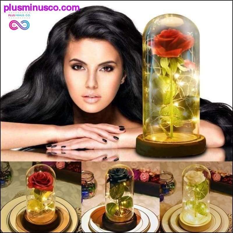 Beauty and the Beast Red Rose in a Glass Dome with LED Light - plusminusco.com