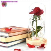 Лепота и звер Црвена ружа у стакленој куполи са ЛЕД светлом - плусминусцо.цом