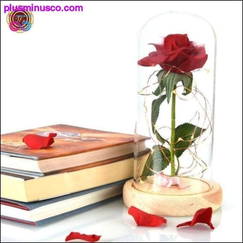 Η Πεντάμορφη και το Τέρας κόκκινο τριαντάφυλλο σε γυάλινο θόλο με φως LED - plusminusco.com