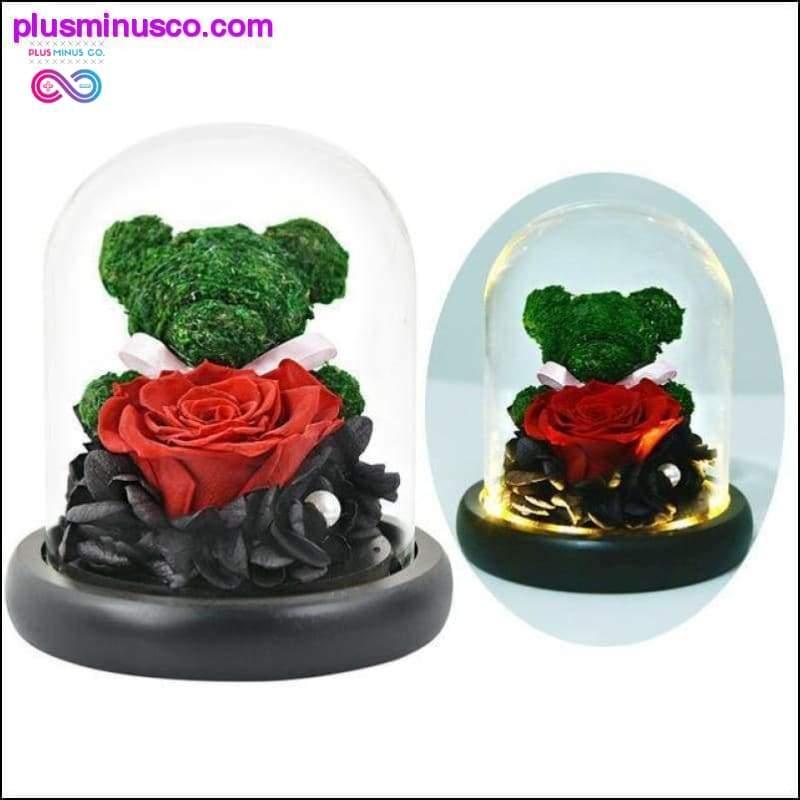 Piękna i Bestia Czerwona róża w szklanej kopule ze światłem LED - plusminusco.com