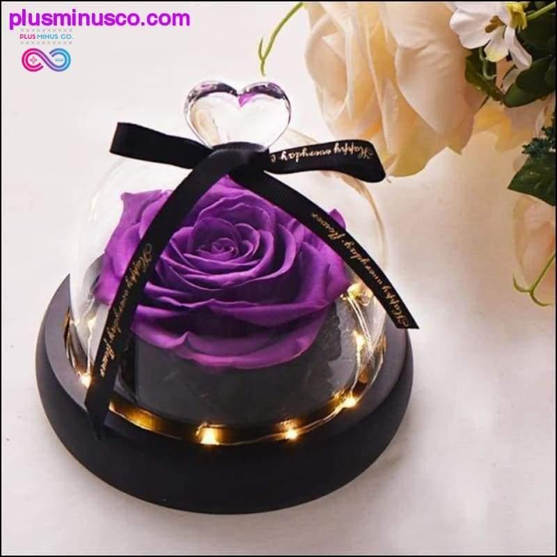 Die Schöne und das Biest, rote Rose in einer Glaskuppel mit LED-Licht – plusminusco.com