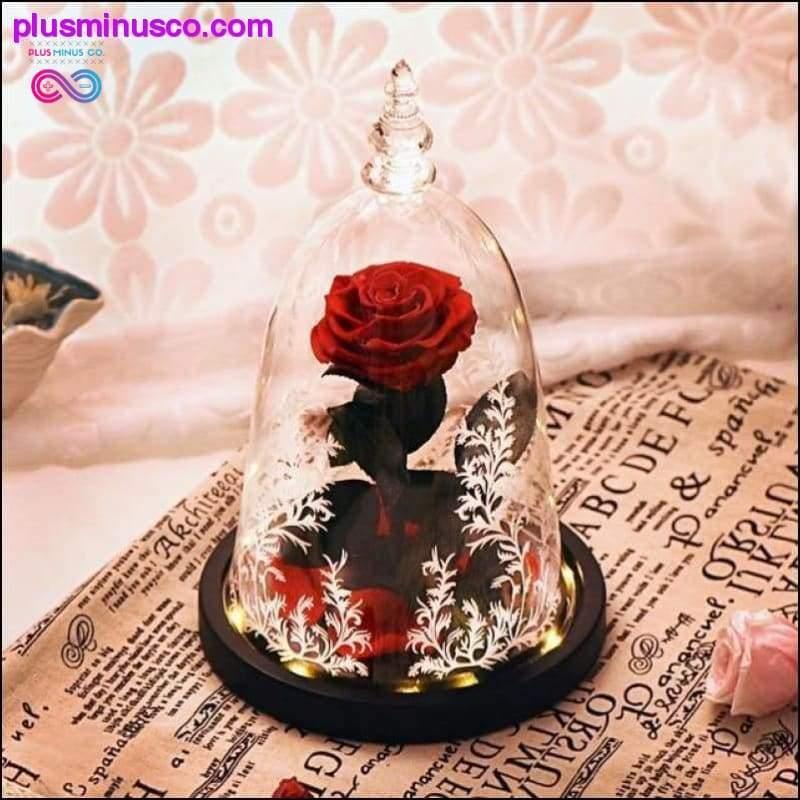 Kráska a zviera Červená ruža v sklenenej kupole s LED svetlom - plusminusco.com