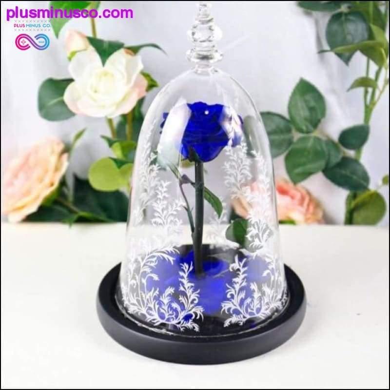 Die Schöne und das Biest, rote Rose in einer Glaskuppel mit LED-Licht – plusminusco.com