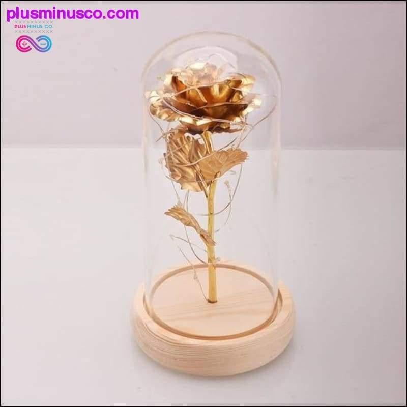 Beauty and the Beast Red Rose in a Glass Dome with LED Light - plusminusco.com