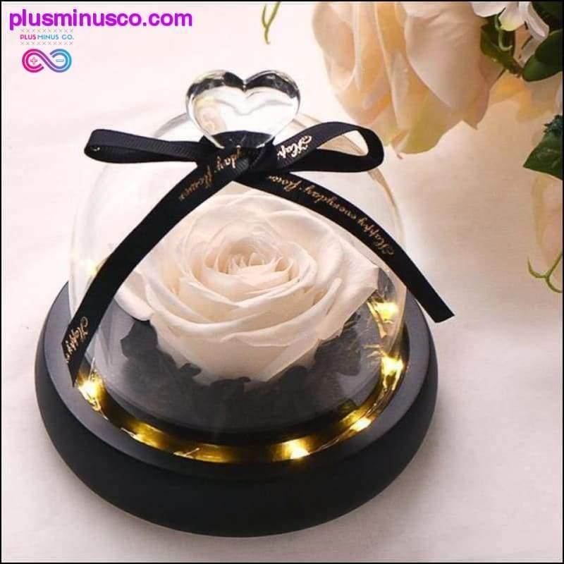 Beauty and the Beast Red Rose in a Glass Dome with LED Light - plusminusco.com