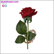 Ljepotica i zvijer crvena ruža u staklenoj kupoli s LED svjetlom - plusminusco.com