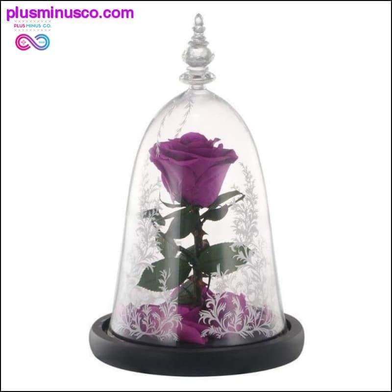 Beauty and the Beast Red Rose in a Glass Dome with LED Light - plusminusco.com