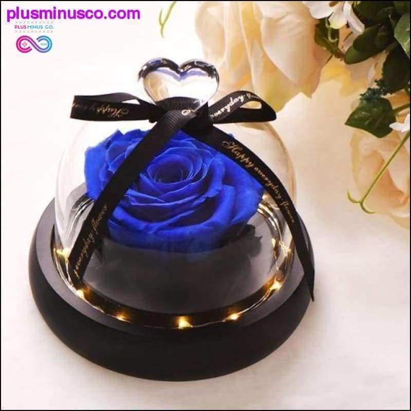 Beauty and the Beast Red Rose in a Glass Dome with LED Light - plusminusco.com