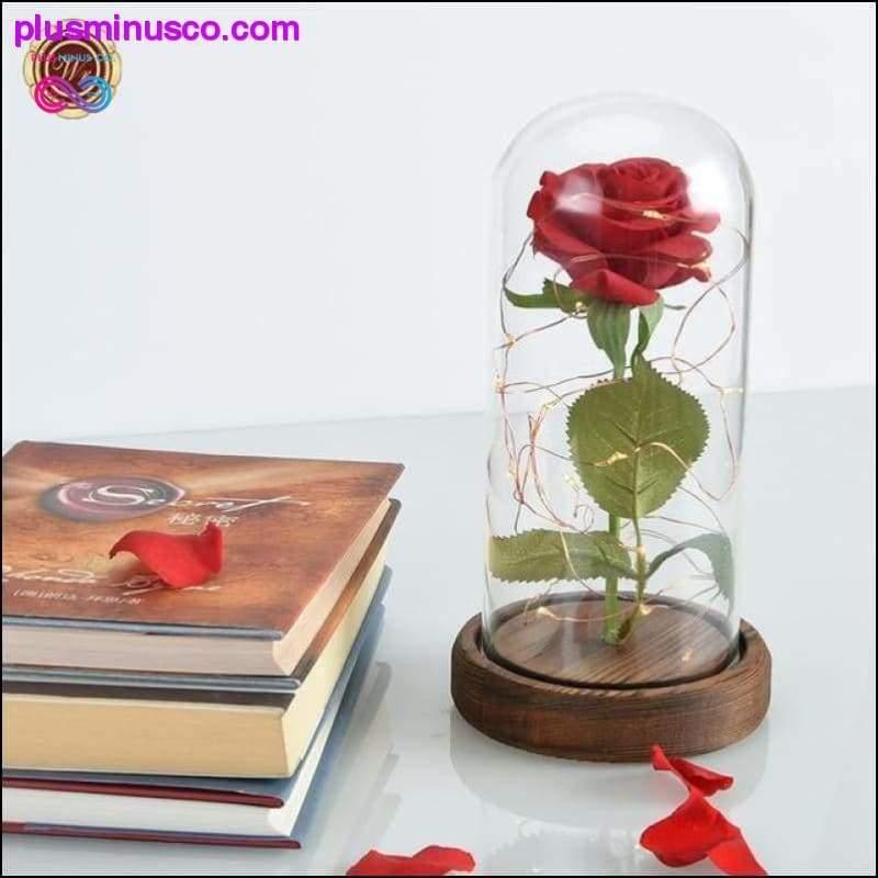 Piękna i Bestia Czerwona róża w szklanej kopule ze światłem LED - plusminusco.com