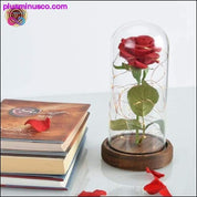 LEDライト付きガラスドームの中の美女と野獣の赤いバラ - plusminusco.com