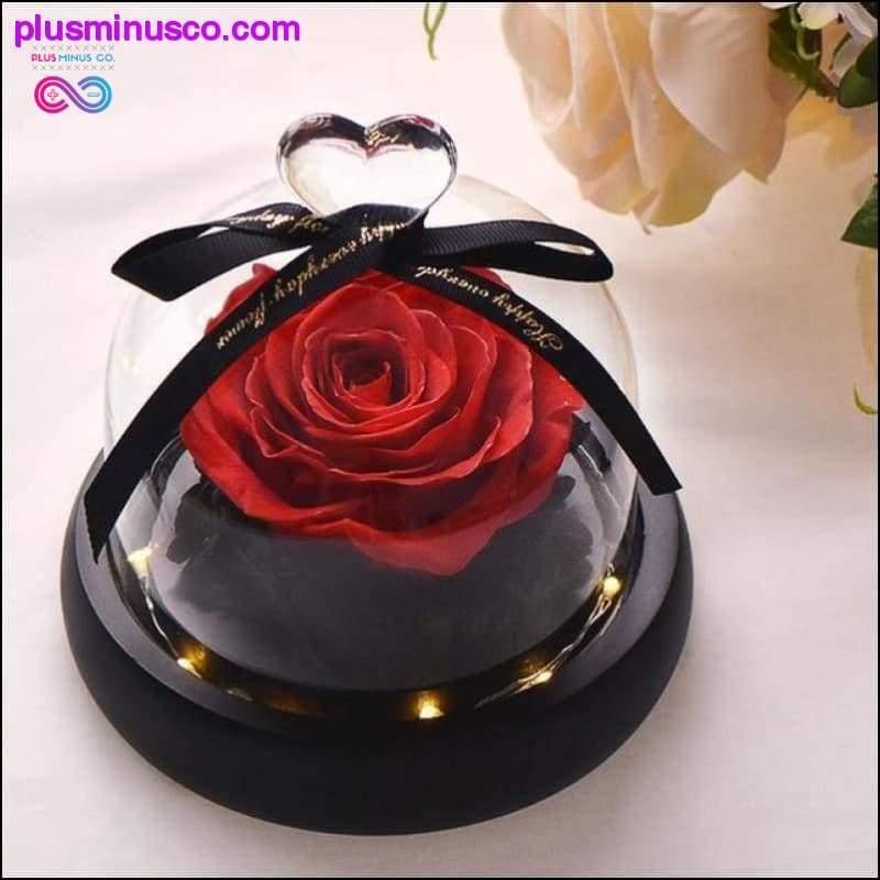 Beauty and the Beast Red Rose in a Glass Dome with LED Light - plusminusco.com