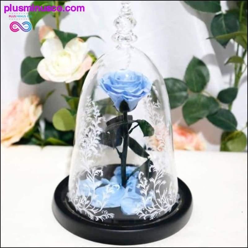 Beauty and the Beast Red Rose in a Glass Dome with LED Light - plusminusco.com