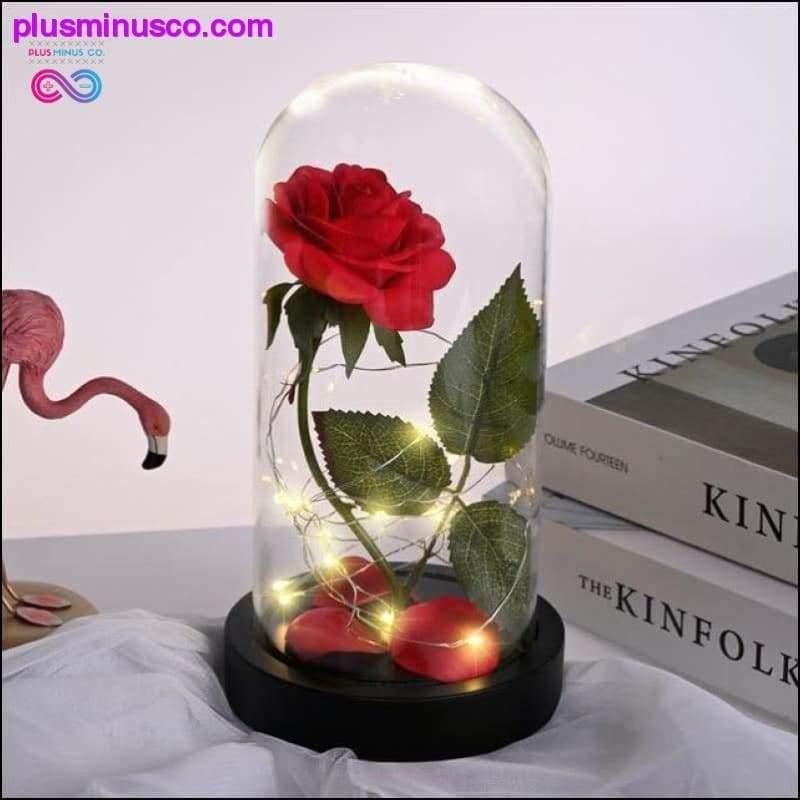 Beauty and the Beast Red Rose in a Glass Dome with LED Light - plusminusco.com