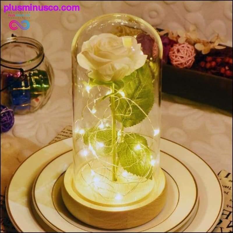 Beauty and the Beast Rød rose i en glasskuppel med LED-lys - plusminusco.com