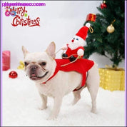 فستان عيد الميلاد للحيوانات الأليفة - plusminusco.com