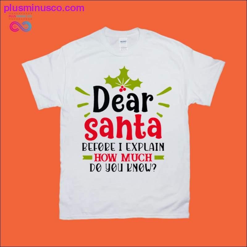 Dear Santa, Before I Explain, How Much Do You Know T-Shirts - plusminusco.com