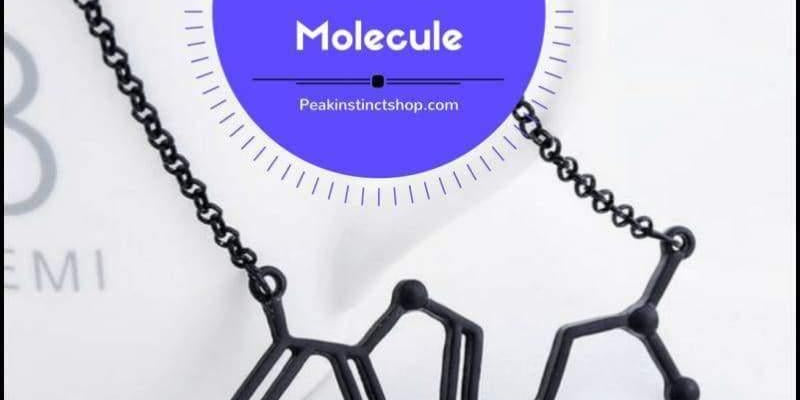 Náhrdelník so štruktúrou chemických molekúl DMT - plusminusco.com