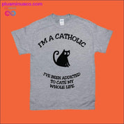 나는 가톨릭 신자입니다. 평생 고양이에 중독되어 왔습니다 - plusminusco.com