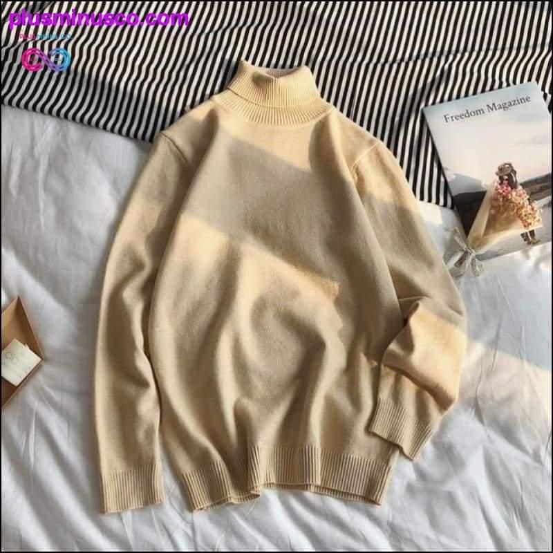 Ерлерге арналған корей стиліндегі тасбақалы пуловерлік жемпір - plusminusco.com сайтында