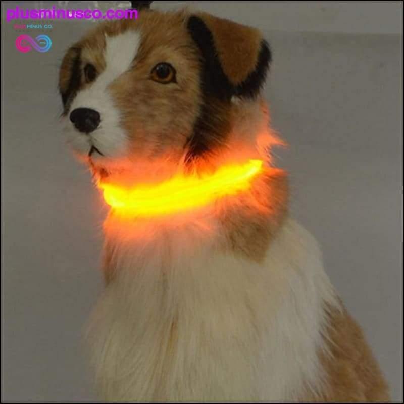 LED 깜박이는 빛 밴드 조절 가능한 개 목걸이 - plusminusco.com