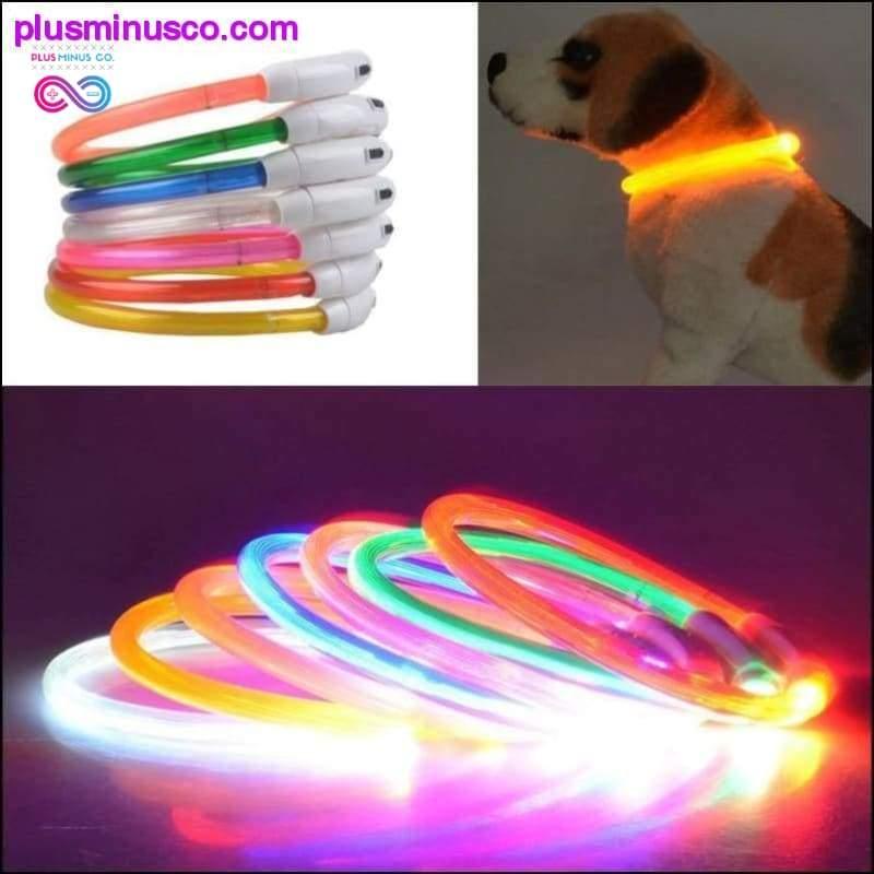 Coleira ajustável para cachorro com faixa de luz intermitente LED - plusminusco.com