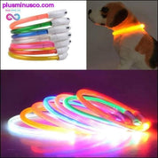 طوق كلب قابل للتعديل بشريط وامض LED - plusminusco.com