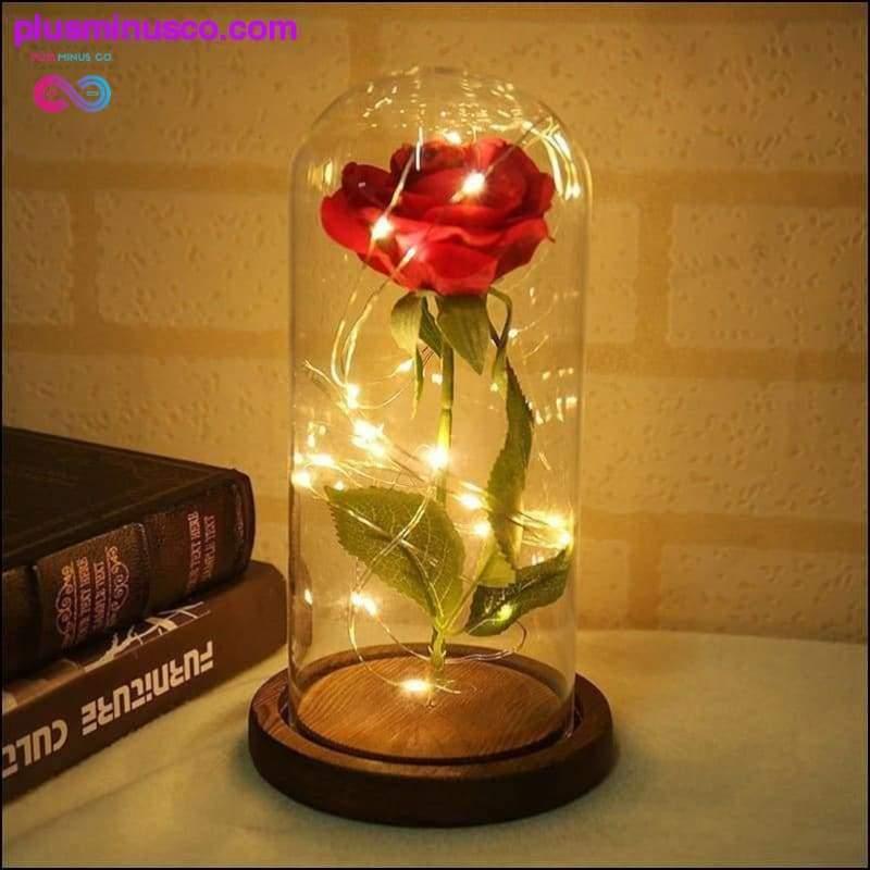 LED Rose Glass Jar Bottle Table Lamp - Valentine's Day & - plusminusco.com