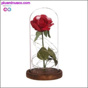 LED Rose Glass Jar Bottle Table Lamp - Valentine's Day & - plusminusco.com
