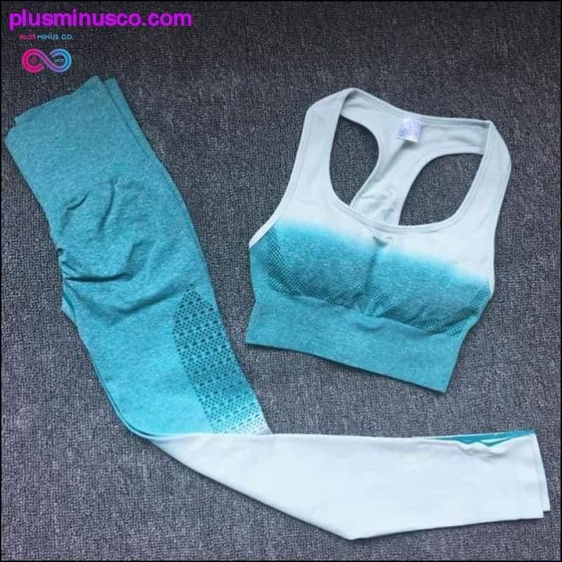 Ombre Seamless Gym Fitness Suit BH Leggings High Waist Yoga - plusminusco.com