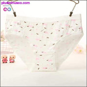 Panties Fashion Cotton Cute Girls Briefs for Women Sexy - plusminusco.com