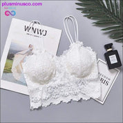 Wireless Lace Push Up Bra Top Women Plus Size Bralette - plusminusco.com