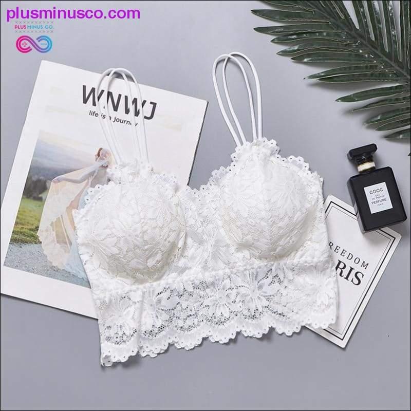 Wireless Lace Push Up Bra Top Women Plus Size Bralette - plusminusco.com