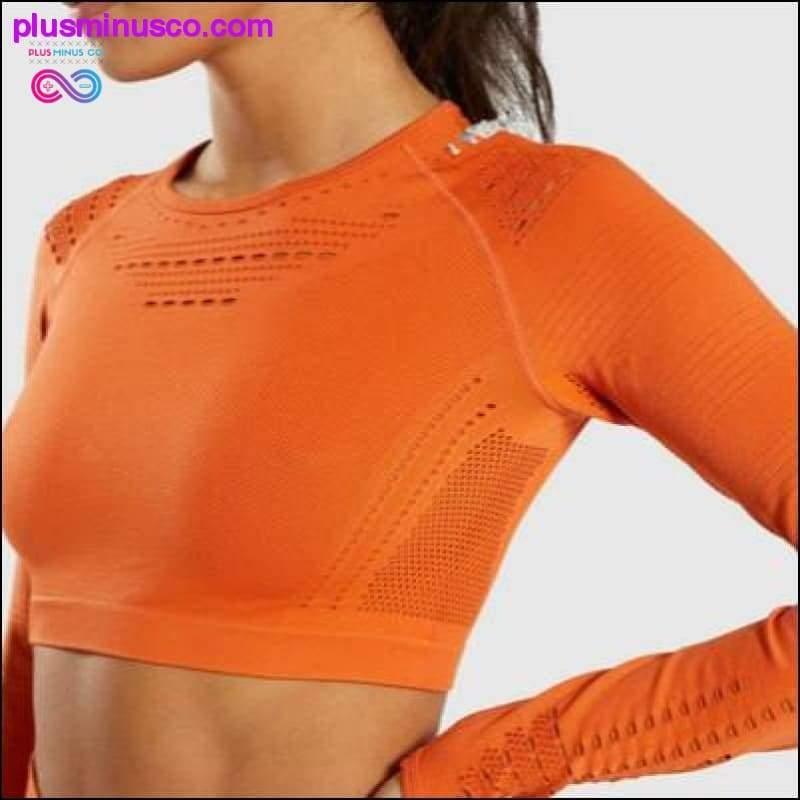 Women Seamless Workout Long Sleeve Crop Top Yoga Sets - plusminusco.com